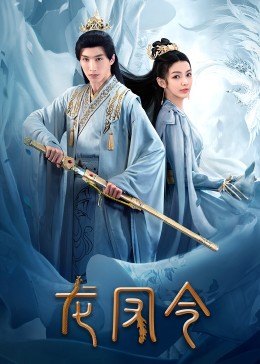 龙凤令 第17集