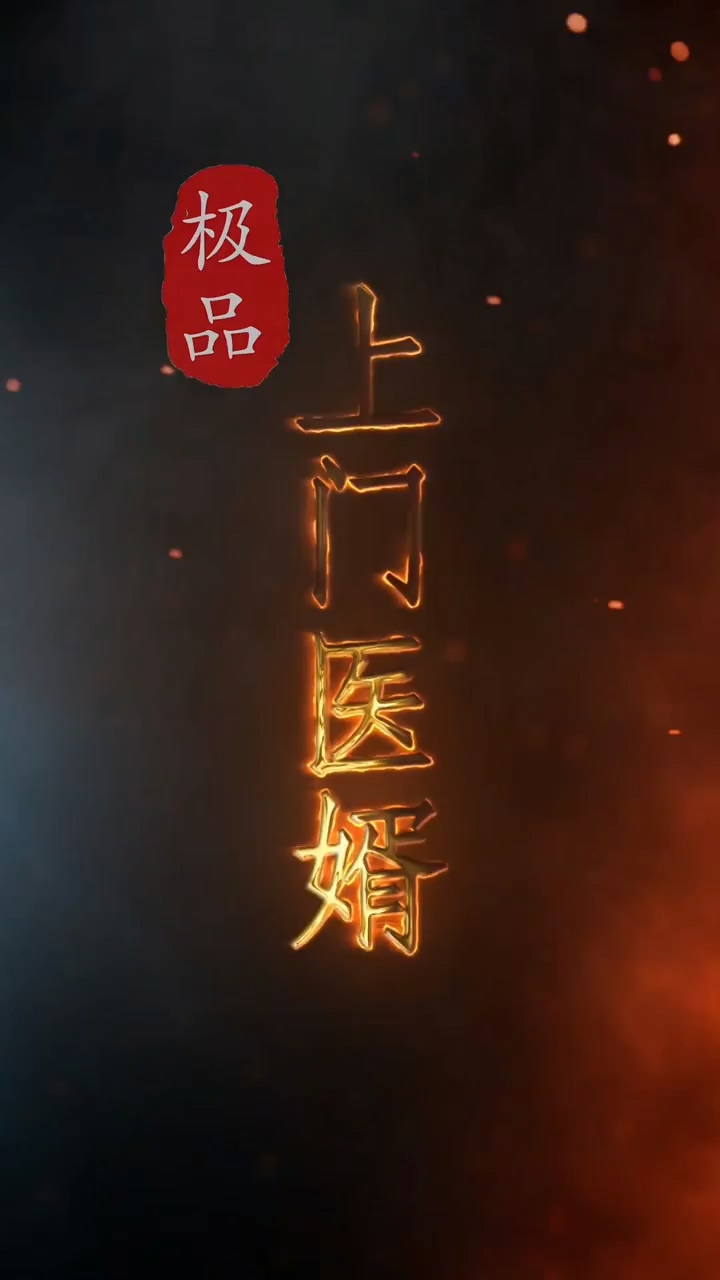 极品上门医婿 第03集