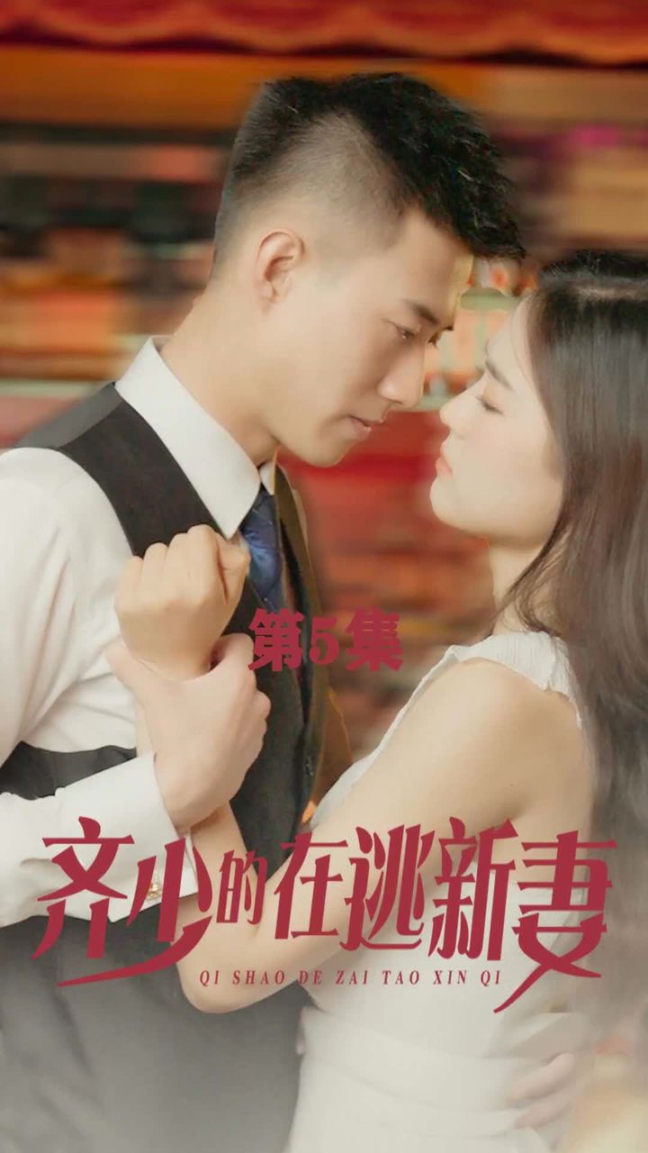 齐少的在逃新妻 21-40集